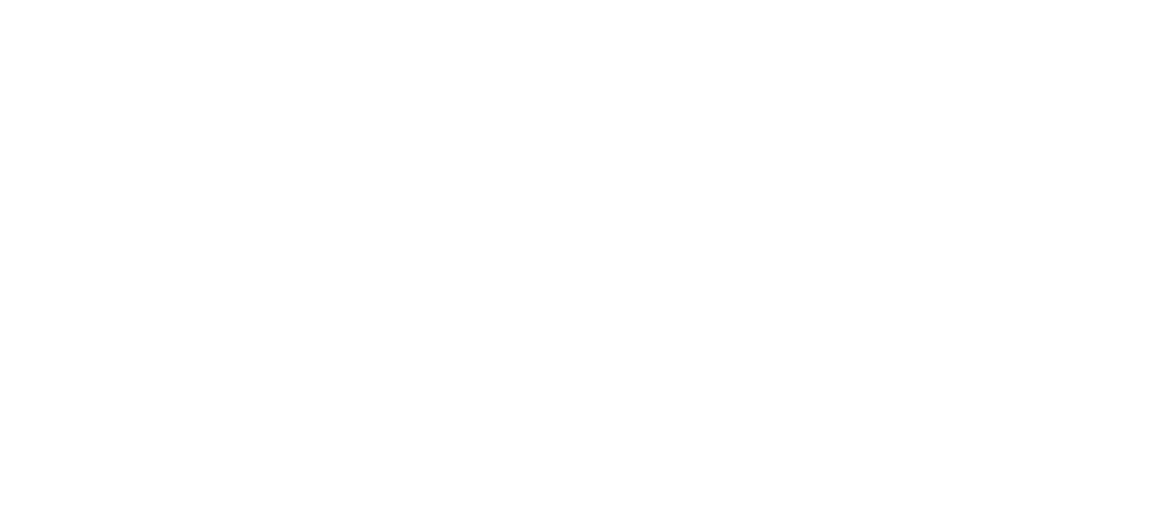 Castle IT